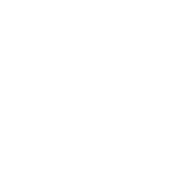skogen group logo hvit